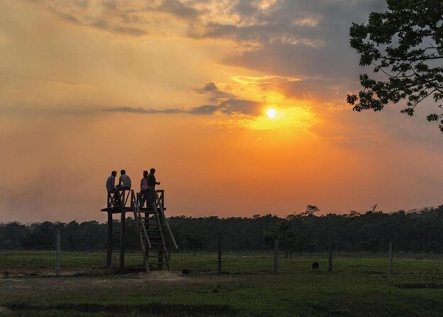 3 Nights 4 Days Comfortable Chitwan Safari Tour - Experience the 3 Nights, 4 Days Comfortable Chitwan Safari Tour