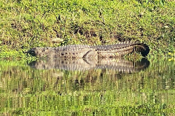 3 Nights 4 Days Comfortable Chitwan Safari Tour - Why This Tour Offers Good Value