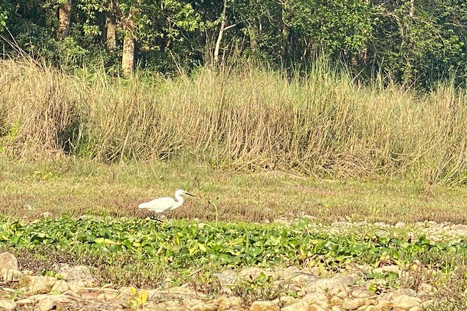3 Nights 4 Days Comfortable Chitwan Safari Tour - Frequently Asked Questions
