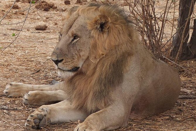 3 nights 4 Days Ruaha National Park - FAQs