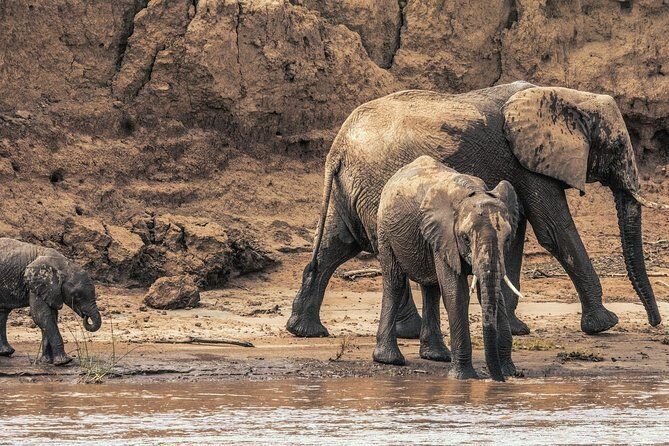 3 nights exclusive Masai Mara safari - Why This Safari Is Worth Considering
