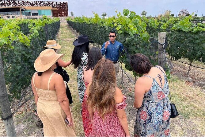 3 or 5 Course Menu + Wine Pairing + Tour @Local Winery - Exploring Tres Raíces Winery: A Visual Feast and Cultural Hub