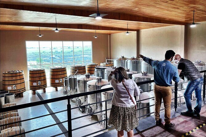 3 or 5 Course Menu + Wine Pairing + Tour @Local Winery - Authenticity and Quality