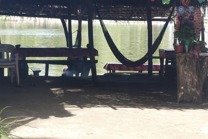 3 Palos Lagoon AfroMex Village Turtle Release & Croc Farm Visit - A Closer Look at the Itinerary