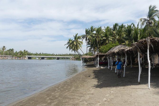 3 Palos Lagoon AfroMex Village Turtle Release & Croc Farm Visit - Who Should Book This Tour?