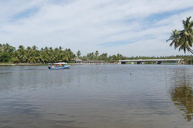3 Palos Lagoon AfroMex Village Turtle Release & Croc Farm Visit - FAQs