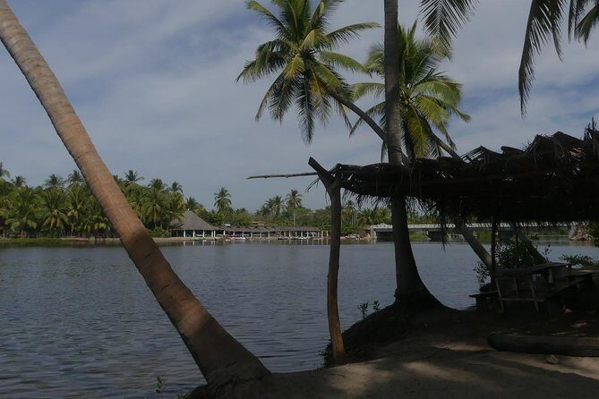 3 Palos Lagoon AfroMex Village Turtle Release & Croc Farm Visit - Final thoughts