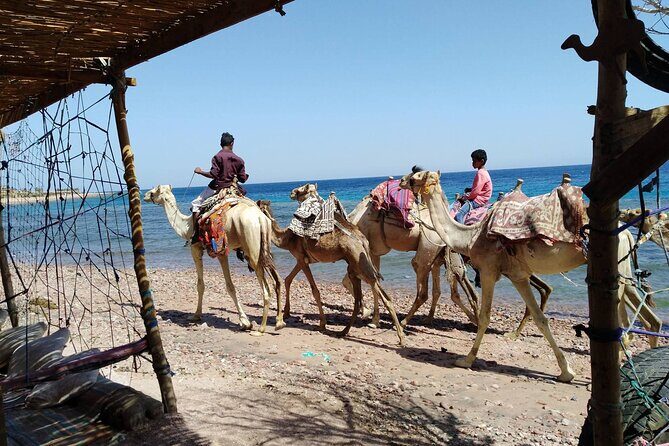3 Pools National Park and Dahab With Ride Camel _ Sharm El Sheikh - A Detailed Look at the Tour Experience