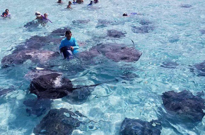 3 Stop Boat Tour Stingray City Coral Gardens and Starfish Point - A Closer Look at the Itinerary: What’s in Store
