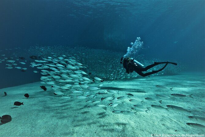 3 Tank Combo Cabo Reserve & Corridor, Certified Divers with MANTA - The Experience on the Water