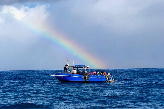 3-Tank Dive Featuring the Molokini Crater - An In-Depth Look at the Maui 3-Tank Experience