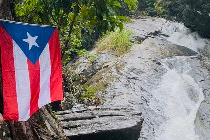 3 Tours in 1 Day: Old San Juan, Rainforest, Beach with Transport - How Does it All Add Up in Terms Value?