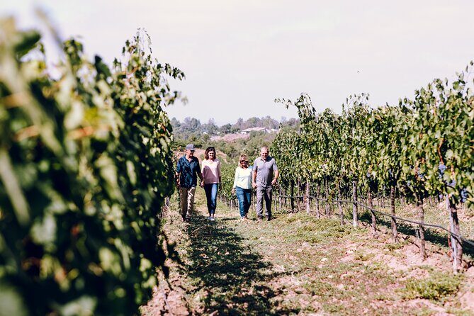 3-Winery Tour Includes Lunch from Paso Robles & Atascadero - A Detailed Look at the Paso Robles Winemaking Experience