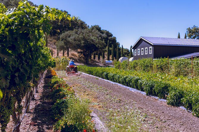 3-Winery Tour Includes Tastings & Lunch from Santa Barbara - Key Points