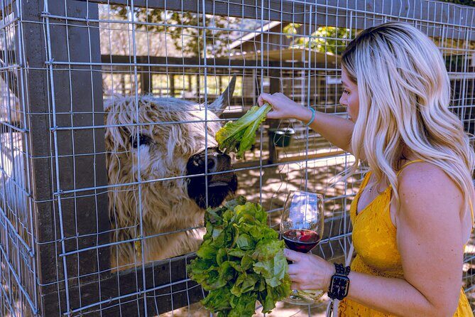 3-Winery Tour Includes Tastings & Lunch from Santa Barbara - The Balance: Pros and Cons