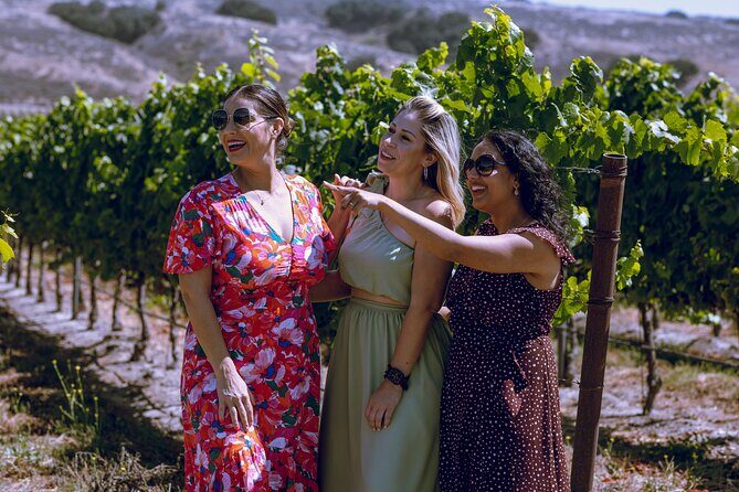 3-Winery Tour Includes Tastings & Lunch from Santa Ynez/Solvang - How the Tour Works: An In-Depth Look