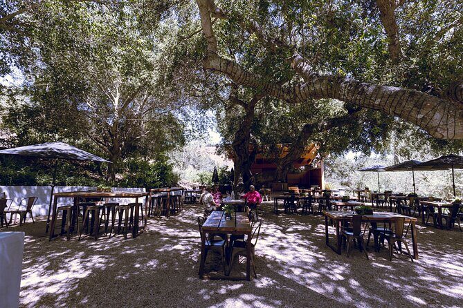 3-Winery Tour Includes Tastings & Lunch from Santa Ynez/Solvang - Who Would Enjoy This Tour?