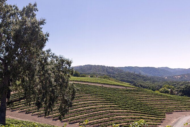 3-Winery Tour Includes Tastings & Lunch in Paso Robles from SLO - FAQ
