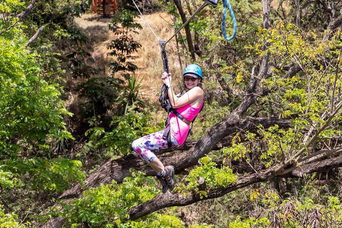 3 Zipline Adventure with Waikiki Transportation - The Experience in Detail