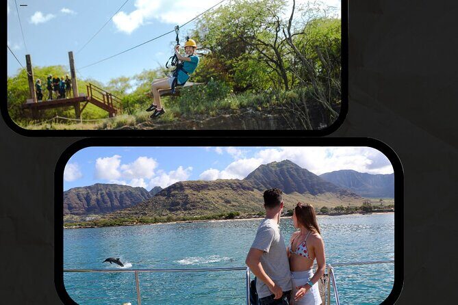 3 Ziplines & Dolphin Watching Snorkel Adventure - What to Expect on the Tour