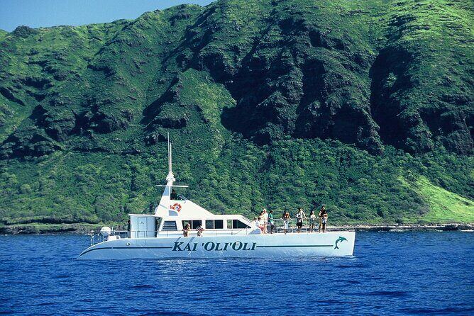 3 Ziplines & Dolphin Watching Snorkel Adventure - Practical Considerations