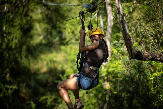 3 Ziplines & Dolphin Watching Snorkel Adventure - Authentic Experiences and Reviewer Insights