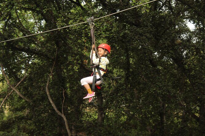 3 Ziplines & Dolphin Watching Snorkel Adventure - Who Will Love This Tour?