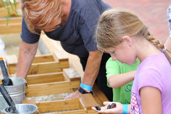 30-Minute Airboat Ride, Lunch, Gem Mining and Park Admission - The Sum Up