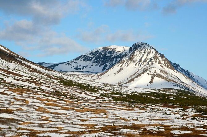 30 Minute Flightseeing Tour from Girdwood - Introduction