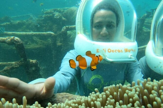 30 Minutes Ocean Walking in Nusa Dua, Bali - Final Thoughts: Who Should Consider This Tour?