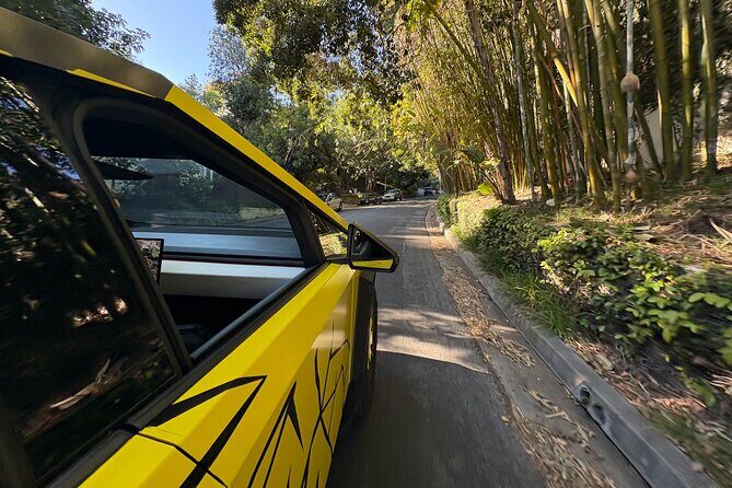 30min Driving Tour : Explore Los Angeles in Cybertruck - Who Will Love This Tour?