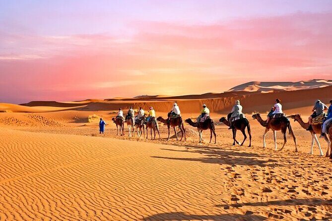 3D/2N Desert tour from Fez to Marrakesh (with small group) - Accommodation and Meals