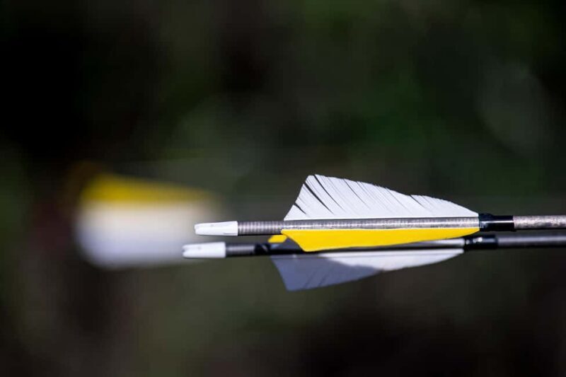 3D Archery Adventure - Plettenberg Bay - Introduction: What’s the Deal with 3D Archery in Plettenberg Bay?