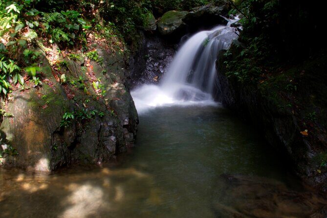 3D2N Jungle Trek | 2 Night accommodation | Pick up and drop off - Practical Considerations