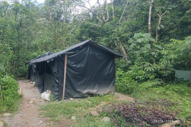 3D2N Jungle Trek | 2 Night accommodation | Pick up and drop off - Authenticity and Traveler Feedback