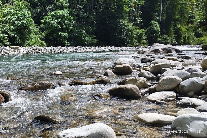 3D2N Jungle Trek | 2 Night accommodation | Pick up and drop off - Final Thoughts: Who Is This Tour For?