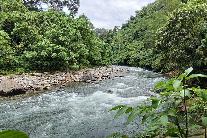 3D2N Jungle Trek | 2 Night accommodation | Pick up and drop off - FAQ