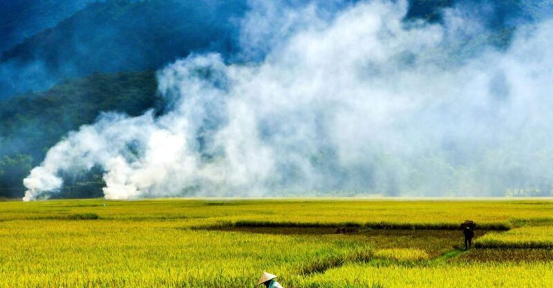 3D2N Mai Chau - Pu Luong from rice valley to nature reserve - An In-Depth Look at the Itinerary and What You Can Expect
