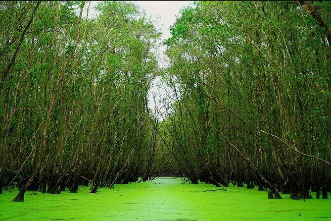3D2N Mekong - Floating Market - Chau Doc - Boat To Phnom Penh - Transport, Meals, and Overall Value