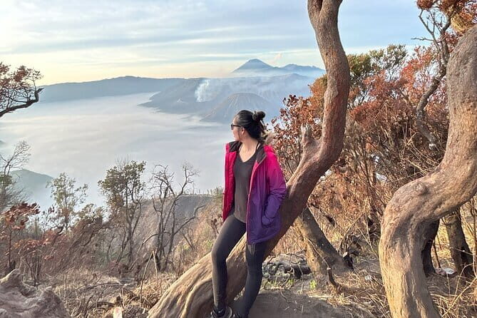 3D2N Mount Bromo Ijen Blue Fire with 4-Star Accommodation - Who This Tour Is For