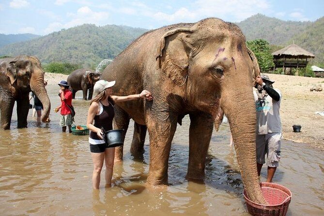 3D2NTrek Adventure at Chiang Mai Mea Wang Including Overnight at Karen Hilltribe - Final Thoughts on Value and Suitability