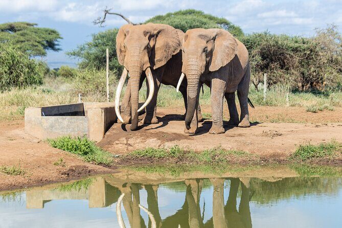 3day Amboseli Park Private safari - What Sets This Tour Apart?