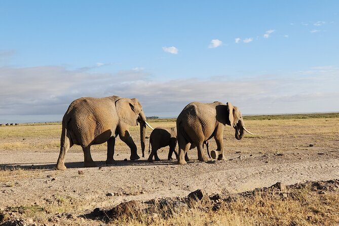 3day Amboseli Park Private safari - Analysis of the Value