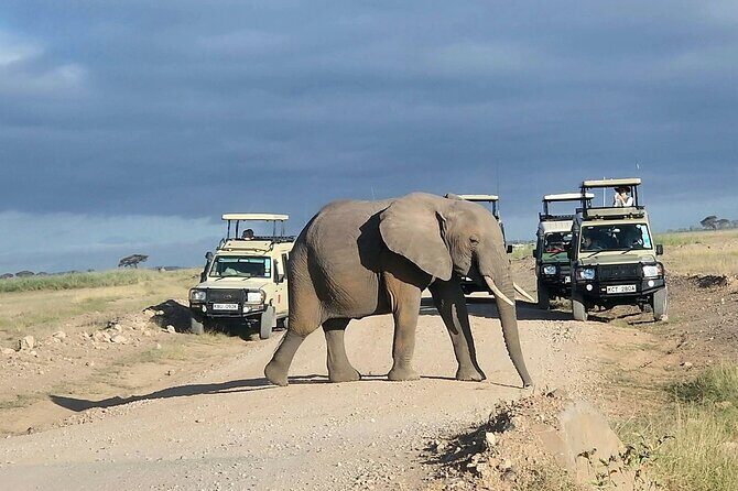 3day Amboseli Park Private safari - Who Will Love This Safari?