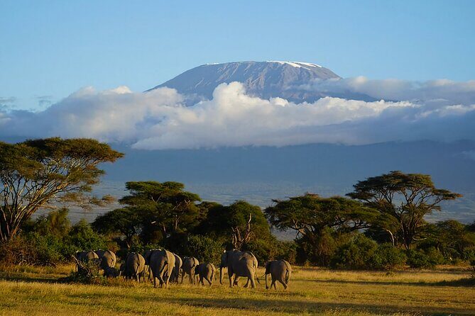 3day Amboseli Park Private safari - Final Thoughts