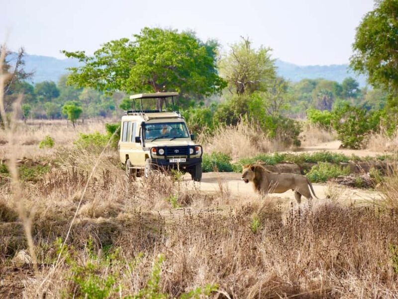 3days 2nights Exceptional Experience - Nyerere National Park - An In-Depth Look at the Tour