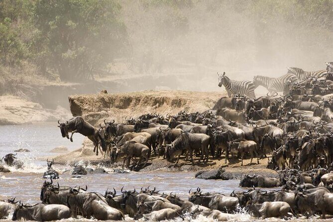 3days/2nights group joining Masai Mara with Masai Village Visit - Transportation and Group Dynamics