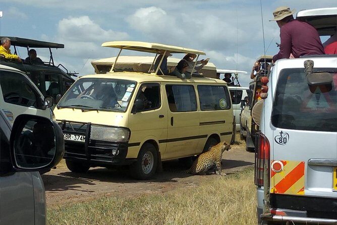 3days/2nights group joining Masai Mara with Masai Village Visit - Accommodation and Meals