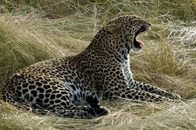 3days/2nights group joining Masai Mara with Masai Village Visit - Pricing and What You’re Getting