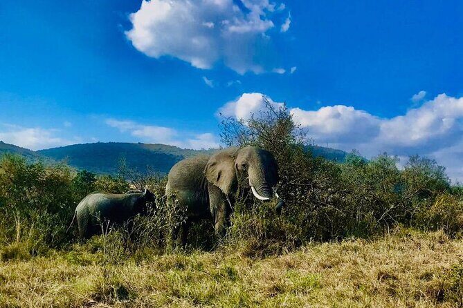 3days/2nights group joining Masai Mara with Masai Village Visit - The Sum Up